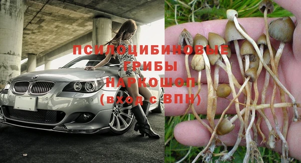 MDMA Белокуриха